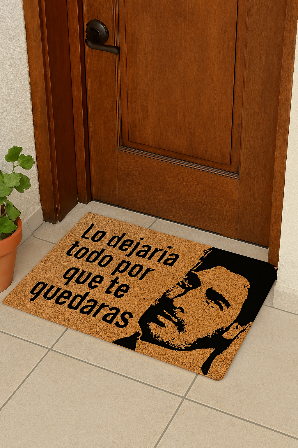 Limpiapié Choapino Lo Dejaria Todo
